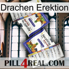 Dragon Erection 12